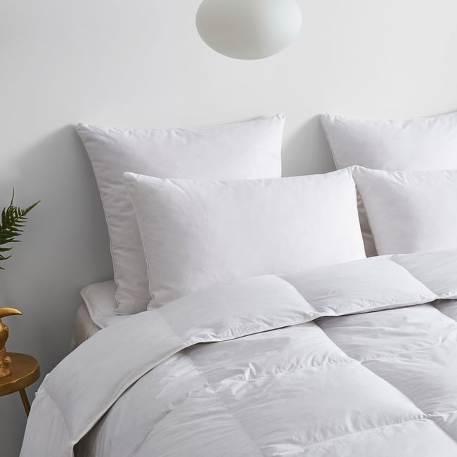 Oreiller FERME 10% Duvet Anti-acariens - Coton Bio - Oscar Couleur blanc <span itemprop=