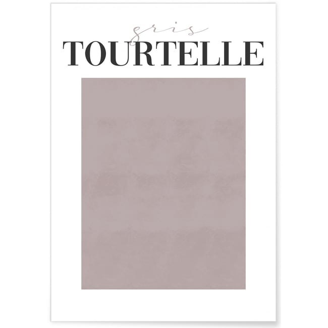 Affiche Gris Tourtelle Couleur blanc <span itemprop=