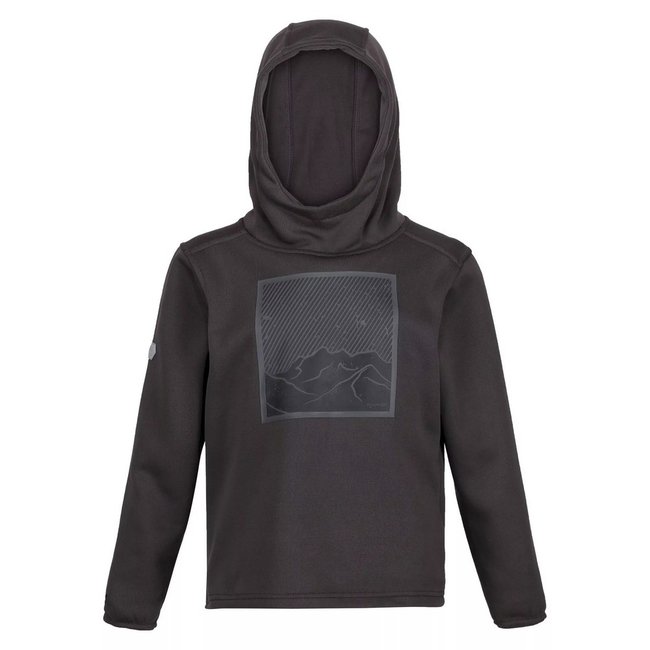 Sweat à capuche HIGHTON gris foncé <span itemprop=