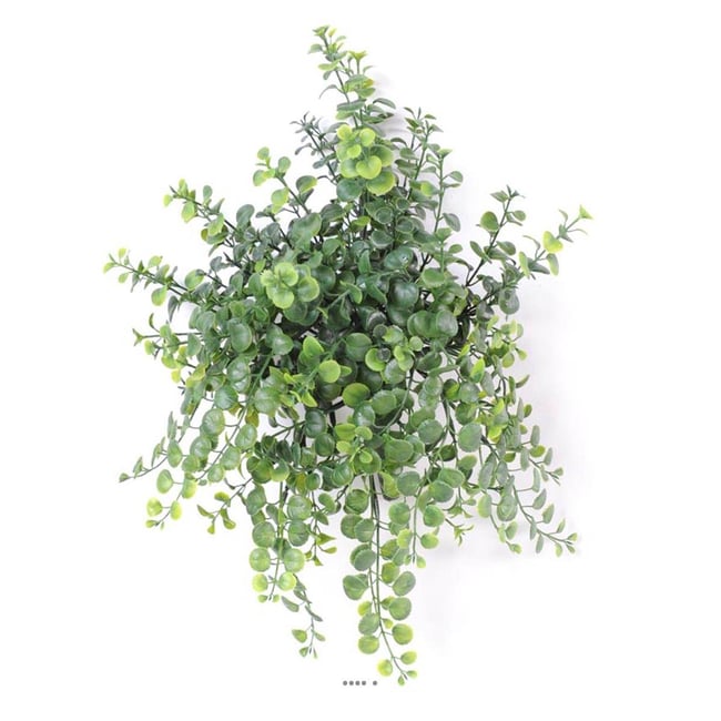 Peperonia artificiel en chute H 40 cm petites Couleur v002239 <span itemprop=