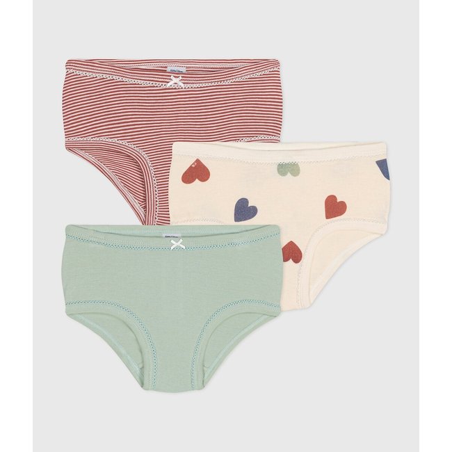 Pack of 3 Full Briefs in Cotton, multi-coloured, PETIT BATEAU