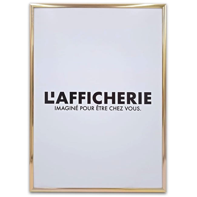 Cadre aluminium or Couleur blanc <span itemprop=