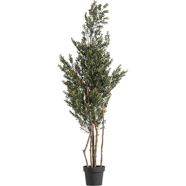 Plante décorative en pot, Lot de 2 Couleur vert noir et marron <span itemprop=