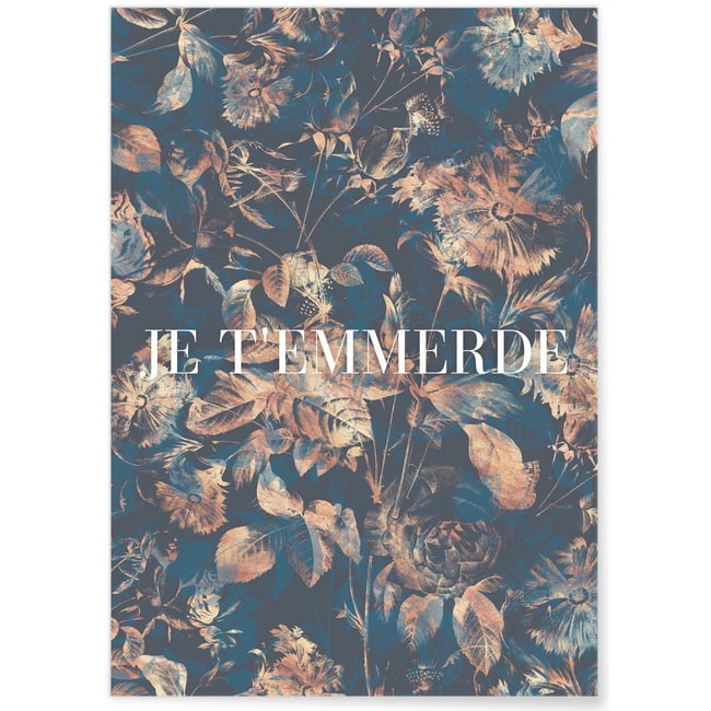 Affiche Je t'emmerde Couleur blanc <span itemprop=