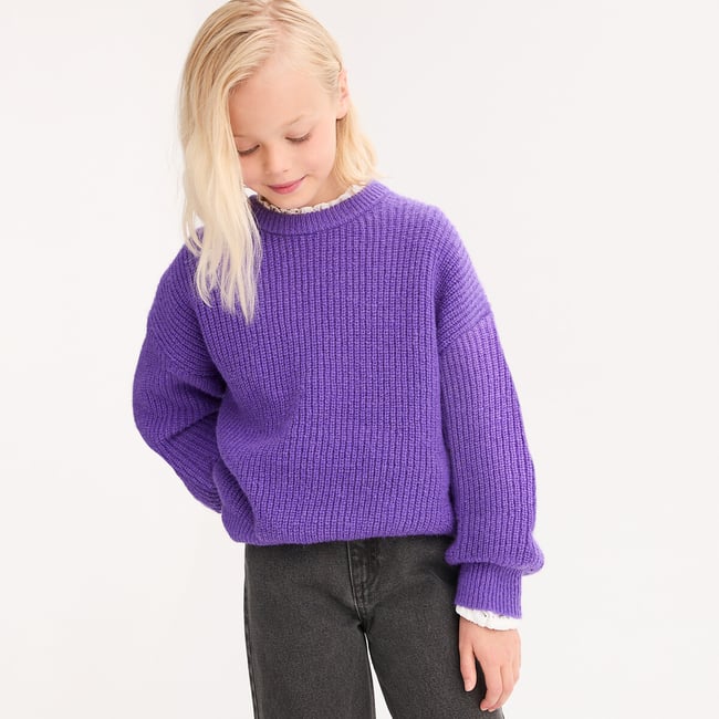 Crew Neck Jumper, purple, LA REDOUTE COLLECTIONS