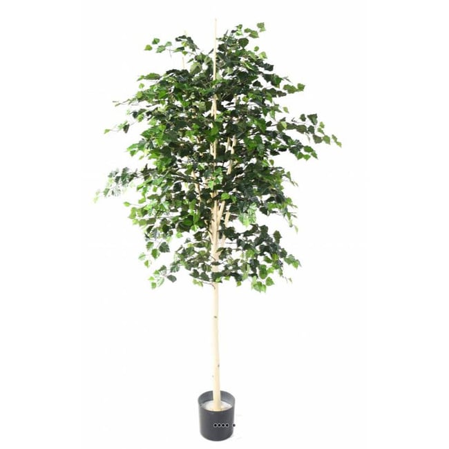 Bouleau artificiel en pot, H 210 cm, D 105 Couleur v002239 <span itemprop=