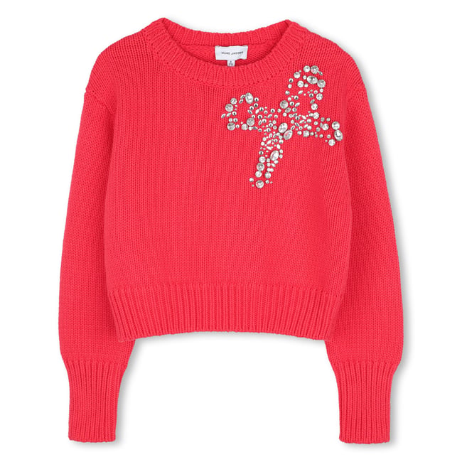 Pull à manches longues geranium <span itemprop=