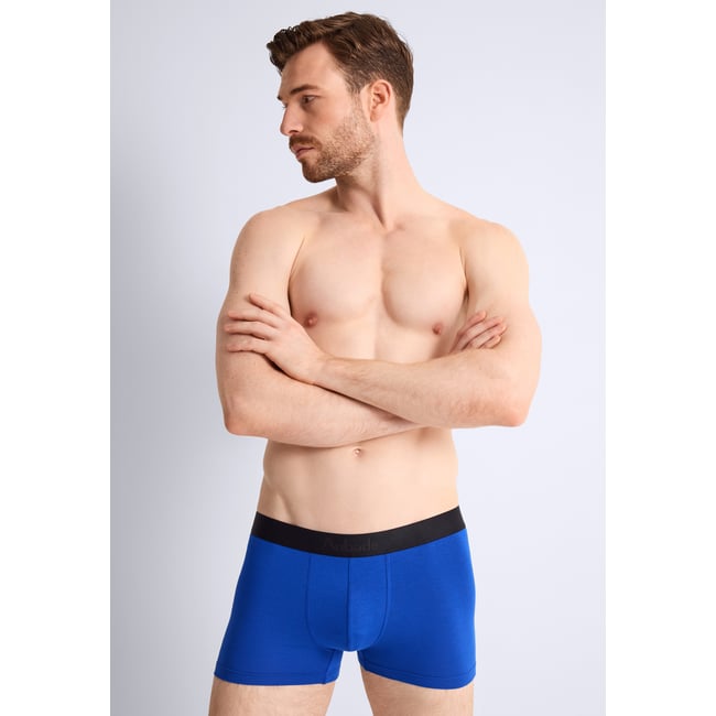 Boxer classique bleu <span itemprop=