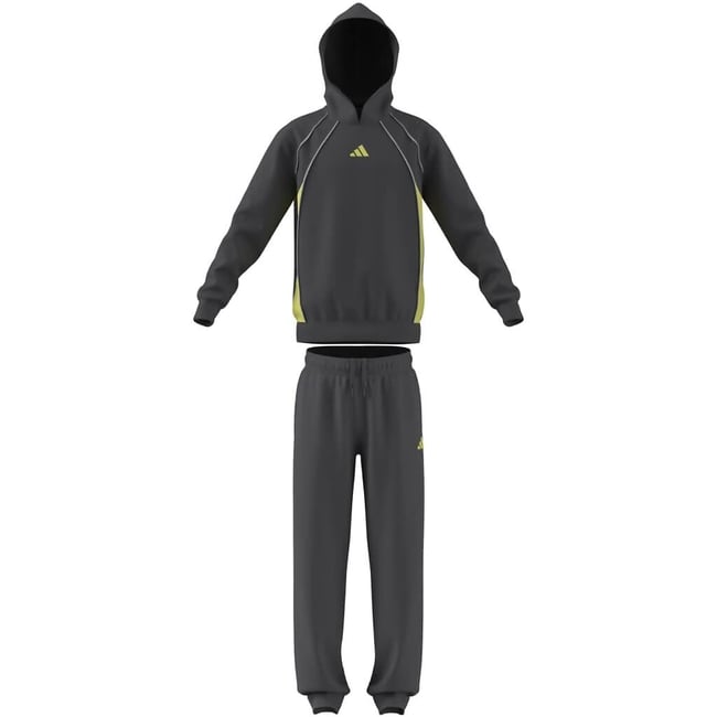 Ensemble en molleton, colorblock, sweat à capuche et  pantalon de jogging gris <span itemprop=