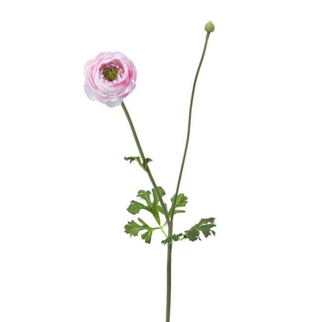 Tige de renoncule avec bourgeon artificielle H56 Couleur rose <span itemprop=