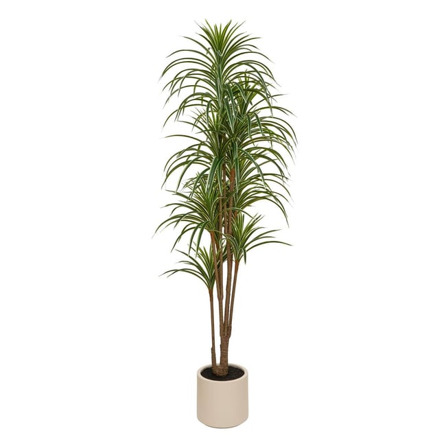 Dracena artificiel EDI Couleur vert <span itemprop=