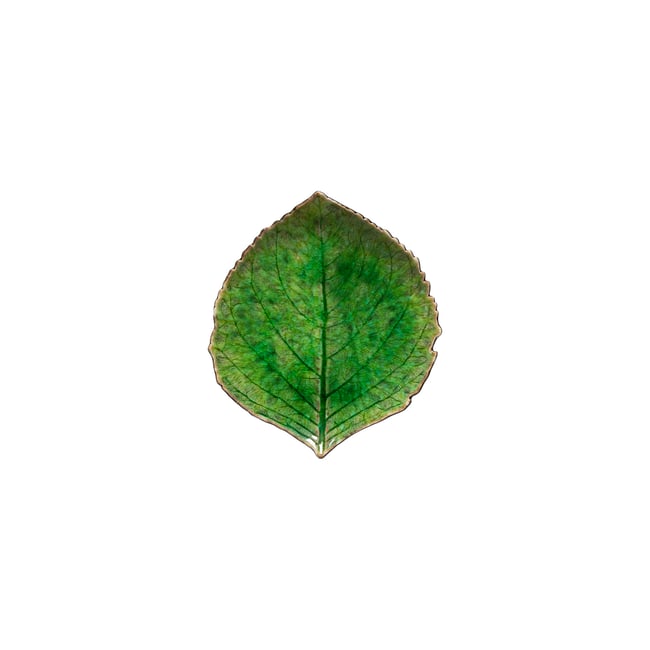 Feuille hortensia 17 RIVIERA - COSTA NOVA