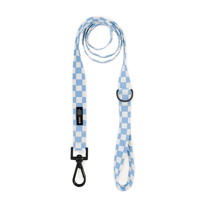 Laisse PET recyclé vichy design, JUNO bleu <span itemprop=