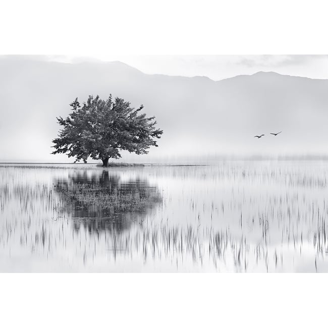 Tableau nature reflets d'eau - HEXOA