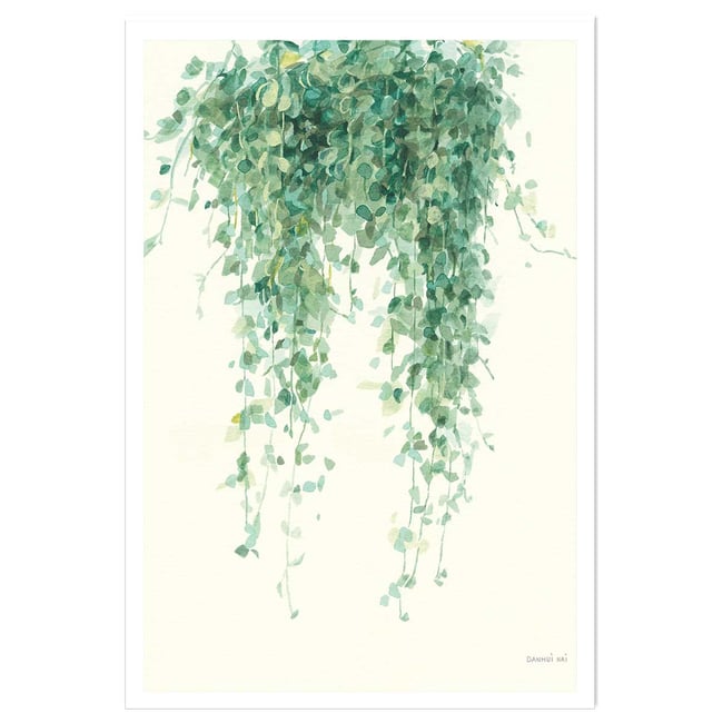 Affiche plante succulente illustrée - HEXOA