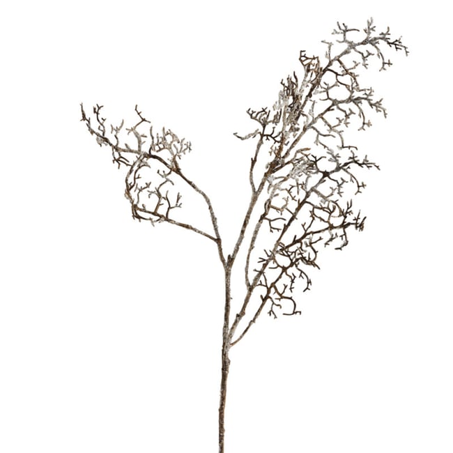 Branche de pin effet séché artificielle H70 Couleur marron <span itemprop=
