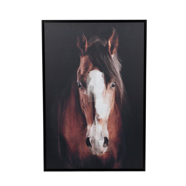 Toile cheval 80x120 cm Couleur marron <span itemprop=