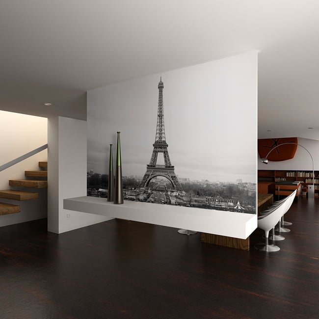 Papier peint intissé panoramique Ville et Architecture Paris : photographie en noir et blanc Couleur noir <span itemprop=