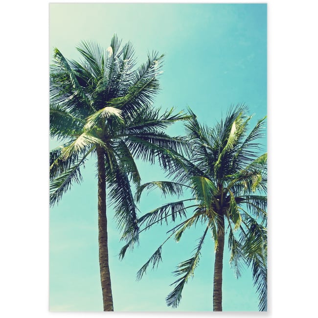 Poster Palm Trees 2 Couleur blanc <span itemprop=