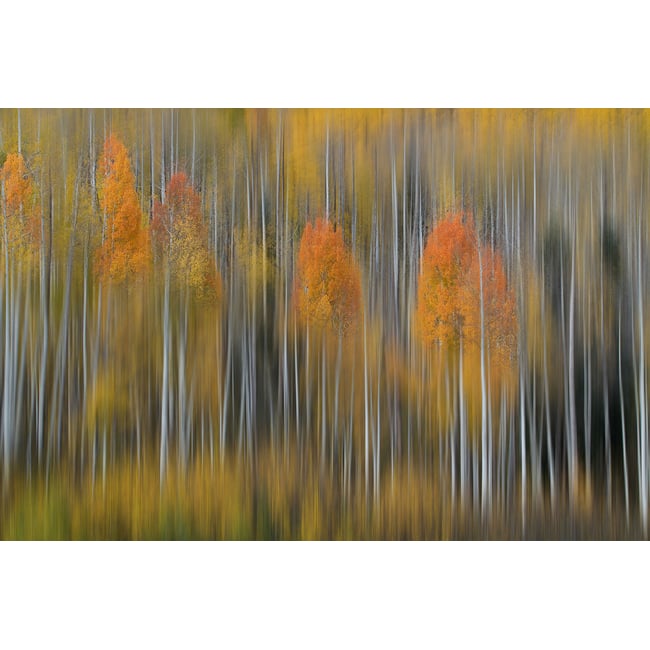 Tableau Impression d'automne - HEXOA