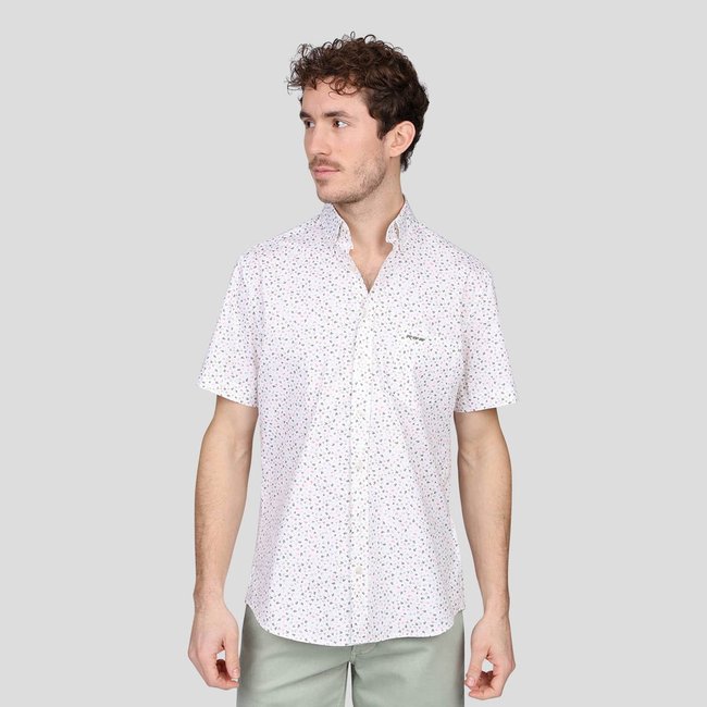 Chemise dorris blanc <span itemprop=