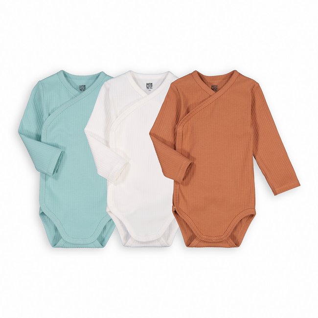 Pack of 3 Bodysuits with Long Sleeves white/brown/blue LA REDOUTE COLLECTIONS