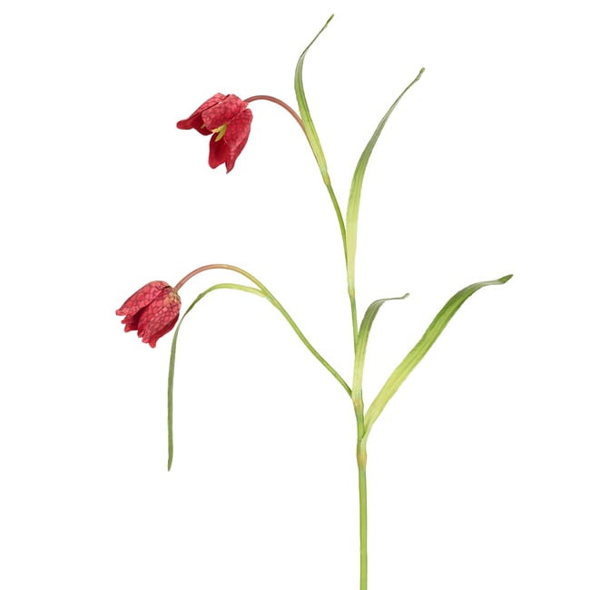 Tige de fritillaria impériale artificielle H70 - SIA DECO