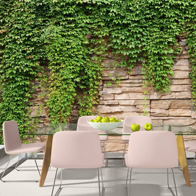Papier peint intissé panoramique Mur de lierre Couleur beige <span itemprop=