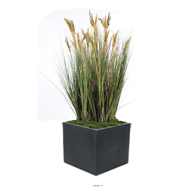 Isolepsis artificiel Graminée Papyrus scirpes Couleur vert <span itemprop=