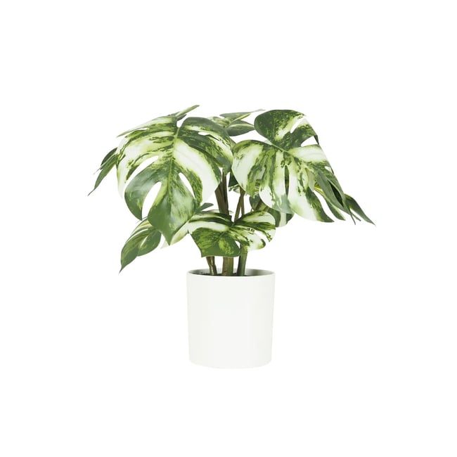 Monstera artificiel variegata toucher naturel 35cm Couleur vert <span itemprop=