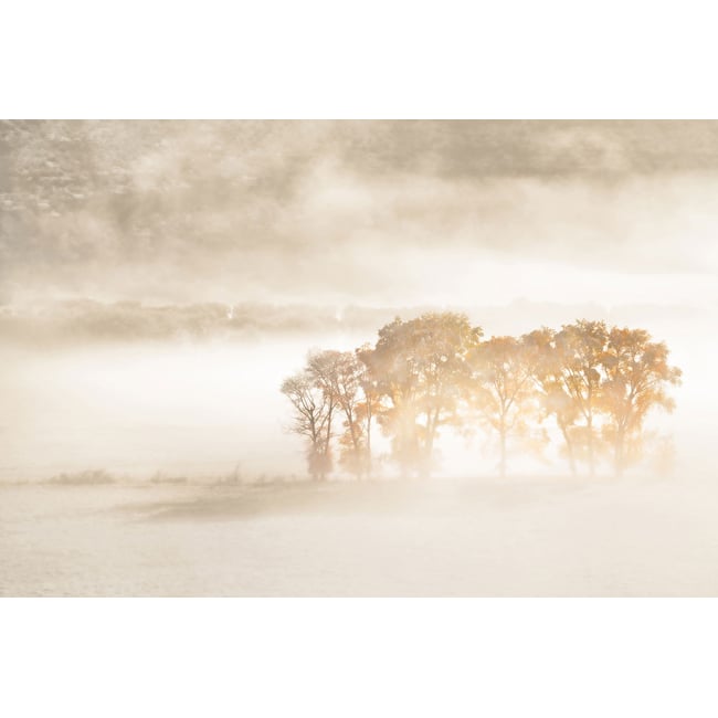 Tableau terre du vent - HEXOA