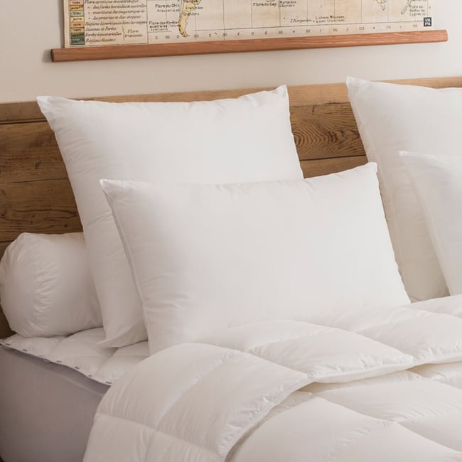 Oreiller Visco Confort - MEDIUM Couleur blanc <span itemprop=