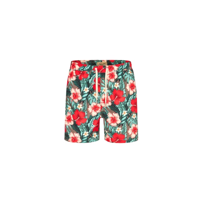 SHORT DE BAIN BACKDOOR multicolore <span itemprop=