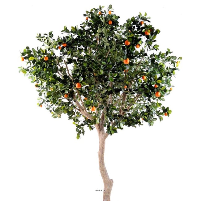 Oranger factice H280cm tronc naturel en po Couleur orange <span itemprop=