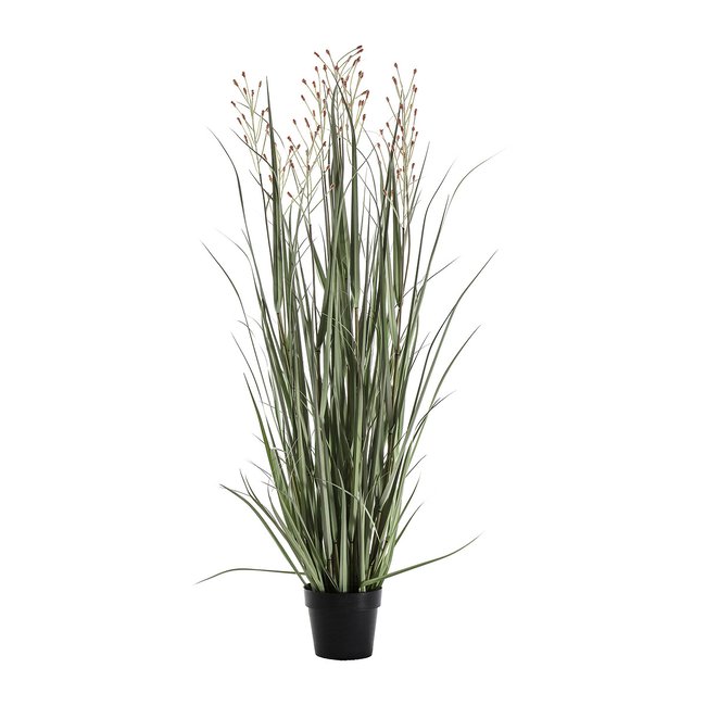 155cm Artificial Potted Grass, green, SO'HOME