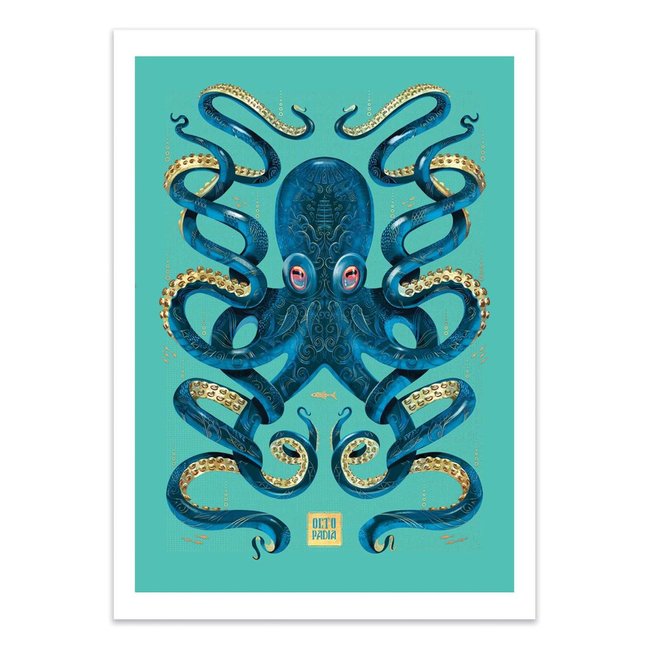 Affiche d’art 50 x 70 cm - Octopus Blue and gold - Mark Harrison Couleur turquoise <span itemprop=