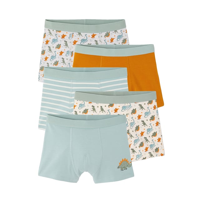 Lot de 5 boxers vert d'eau <span itemprop=
