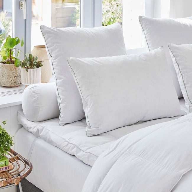 Oreiller Moguilev  - 40% Duvet Canard blanc - MEDIUM Couleur blanc <span itemprop=