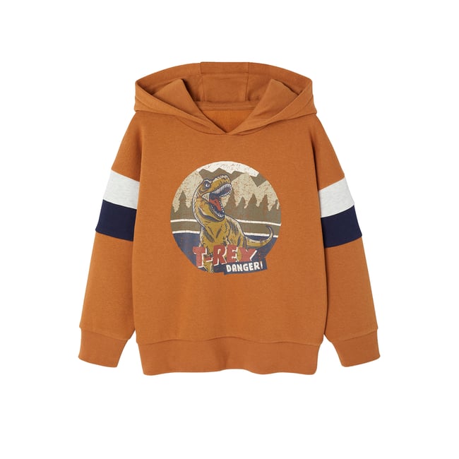 Sweat Capuche Print Placé noix de pécan <span itemprop=