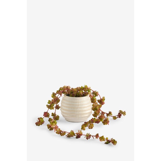 Pot en céramique avec succulente artificielle Couleur violet <span itemprop=
