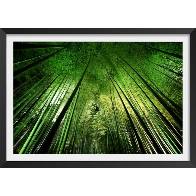 Affiche nature forêt de bambous à kyoto - HEXOA
