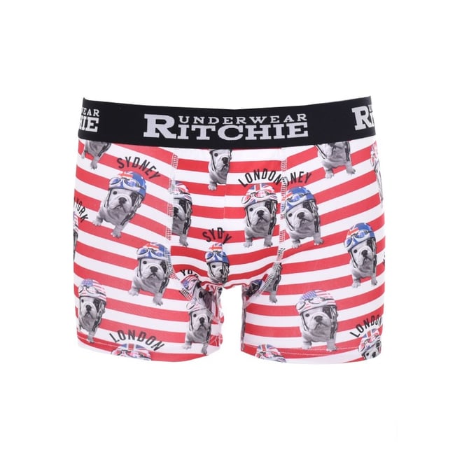 Boxer Motifs Roumatol v002231 <span itemprop=