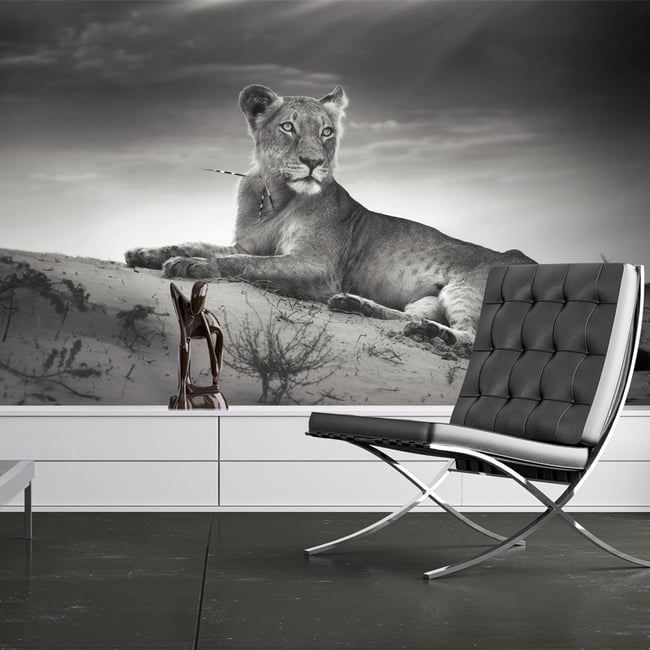 Papier peint intissé panoramique Animaux Une lionne en noir et blanc Couleur noir <span itemprop=