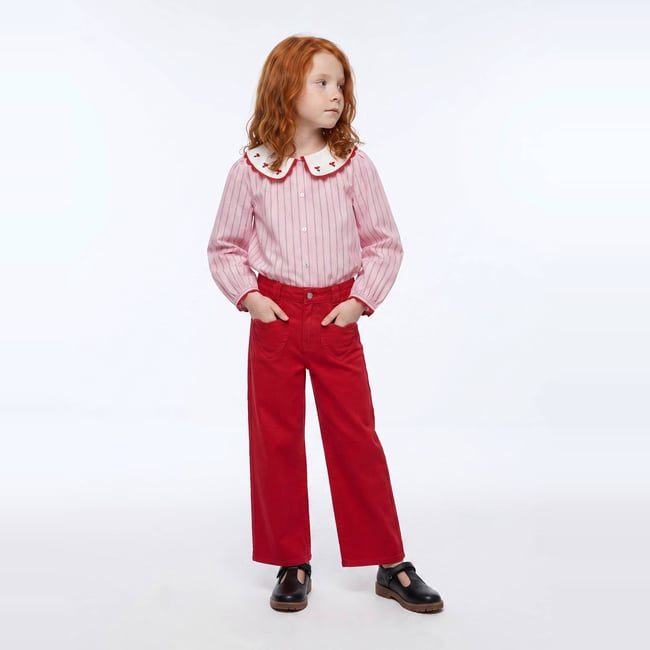 Chemise rayée col claudine brodé bouquet <span itemprop=