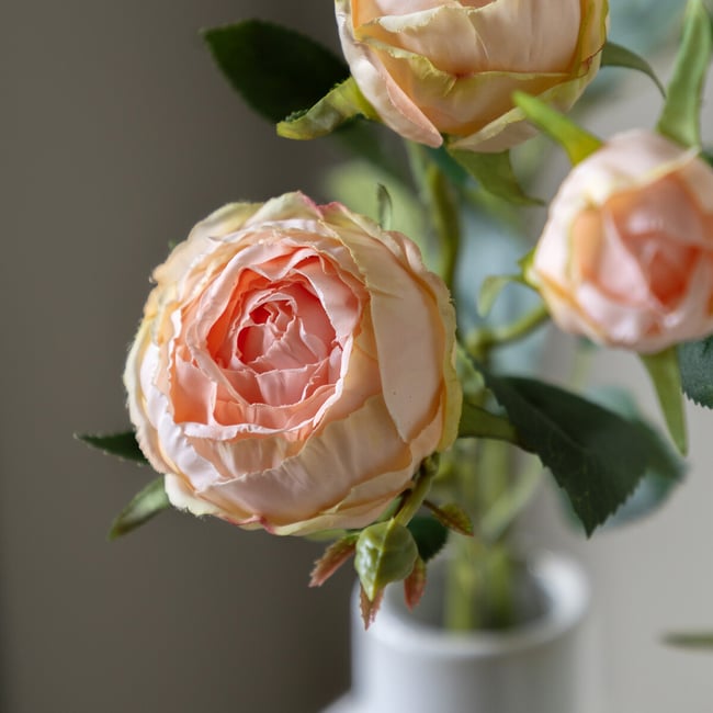 6pk 54cm Vintage Rose Faux Stems - SO'HOME