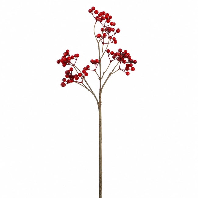 Tige de baies artificielle H50 Couleur rouge <span itemprop=