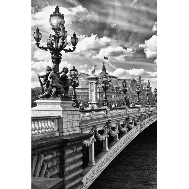 Tableau Paris Vue du pont Alexandre III - HEXOA