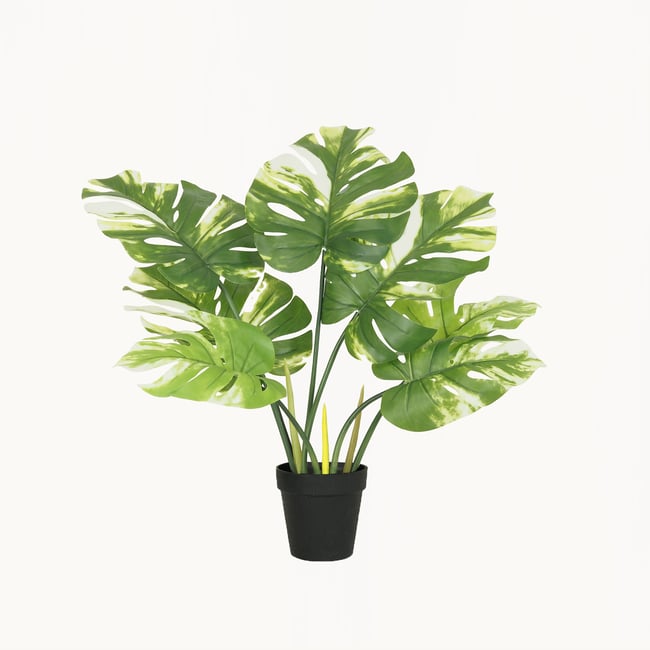 Monstera artificiel 60cm Couleur vert <span itemprop=