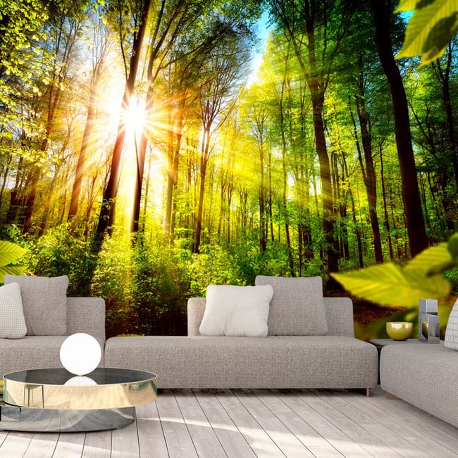 Papier peint intissé panoramique Paysage Forest Hideout Couleur vert <span itemprop=