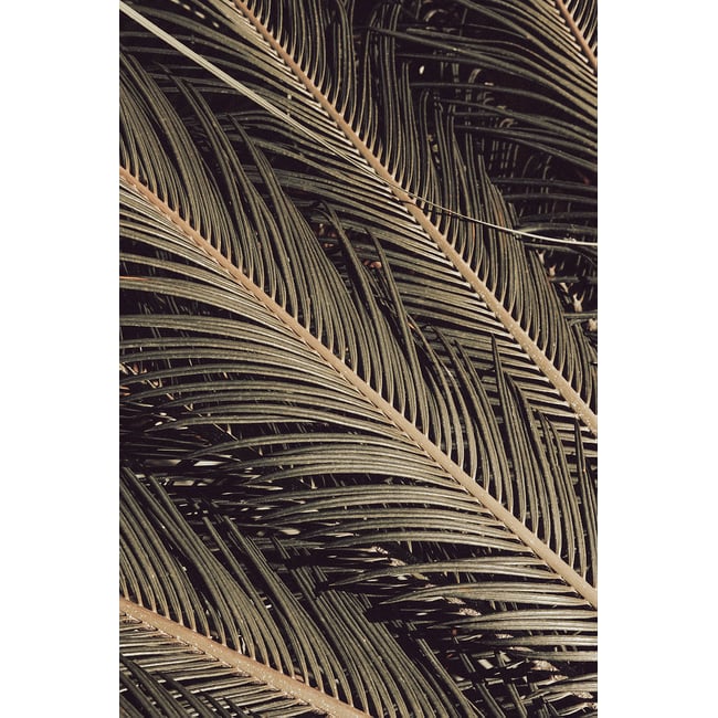 Tableau palm island - HEXOA